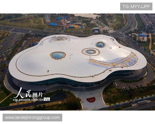 南京极限运动队协作模式研究与实践探索之路