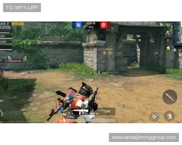 和平精英战术解析：深入探讨RNG在阵地战中的策略与执行